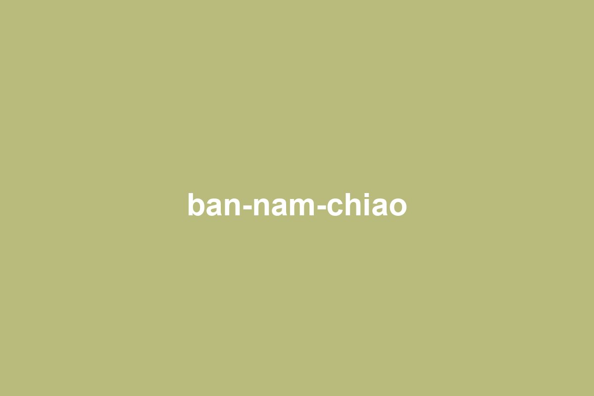 Segnaposto: le mangrovie e le case del villaggio di Ban Nam Chiao