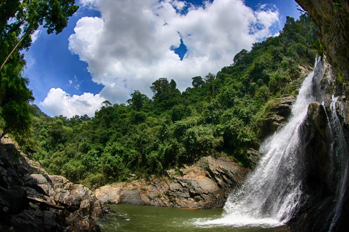 La foresta e la cascata del parco di Khao Luang
