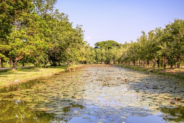 Le rovine del parco storico di Sukhothai